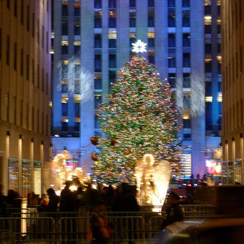 USA_2011-11-30 21-06-50